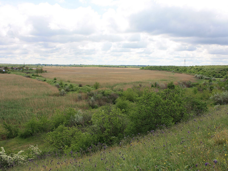 _viber_2021-05-17_15-24-35