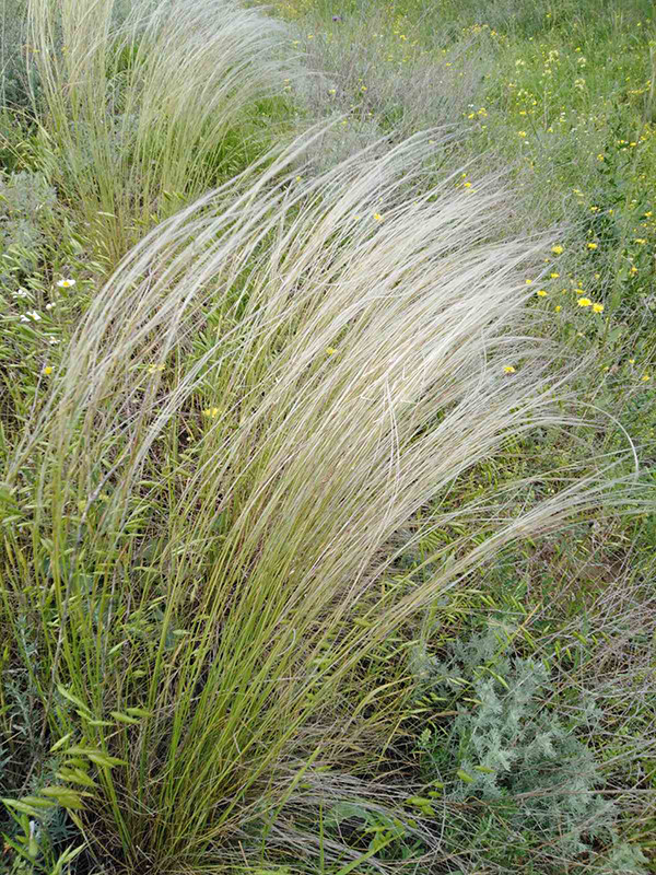 _viber_2021-05-17_15-26-57