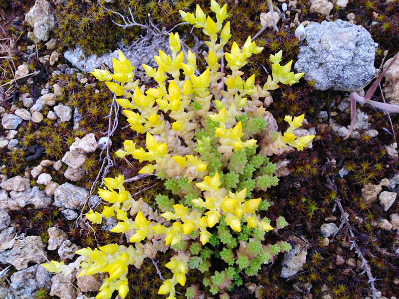 _viber_2021-05-17_15-27-12