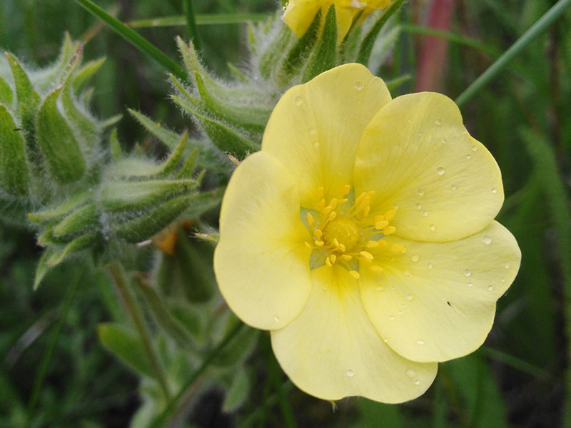 _viber_2021-05-18_14-45-10