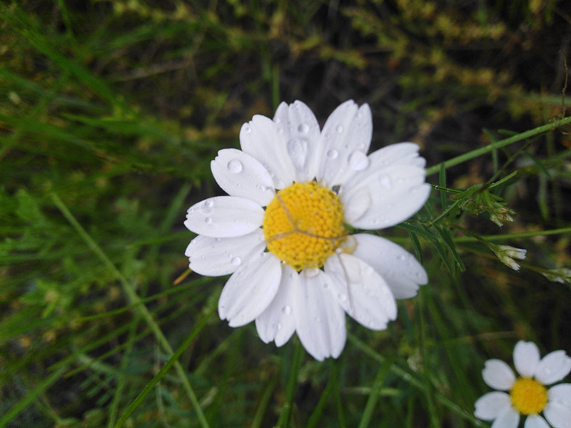 _viber_2021-05-18_14-45-11