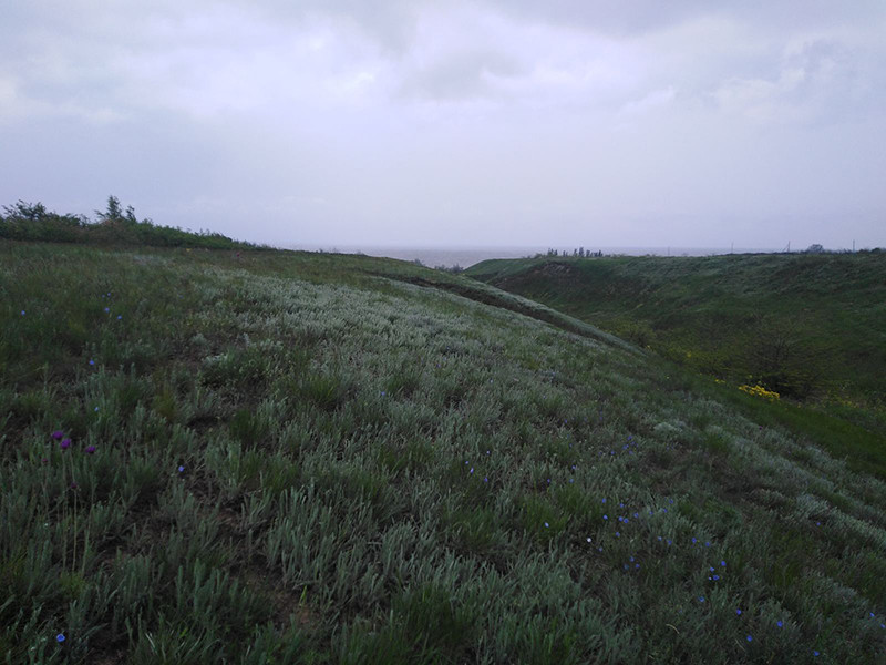 _viber_2021-05-18_14-47-34