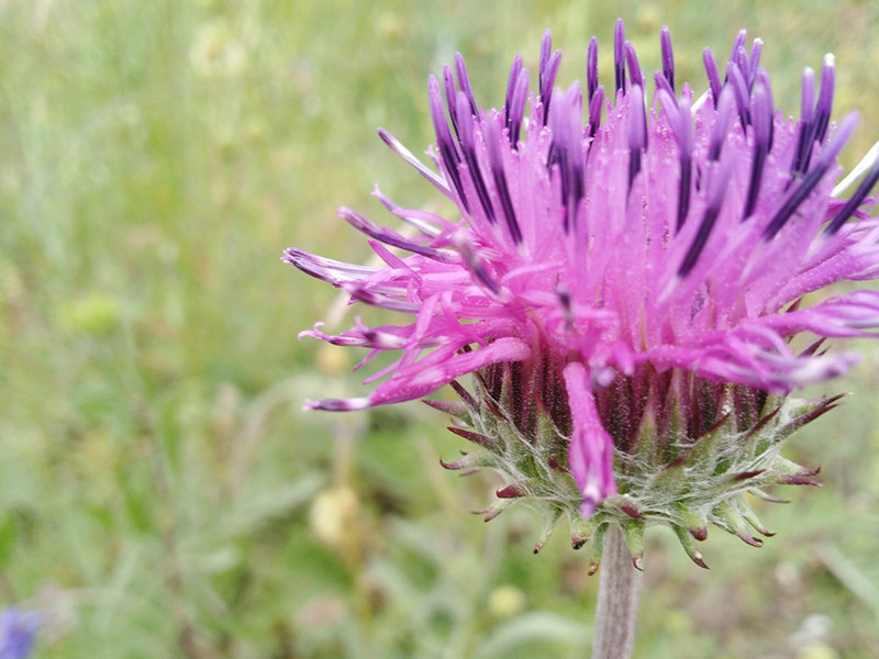 _viber_2021-05-18_14-49-09