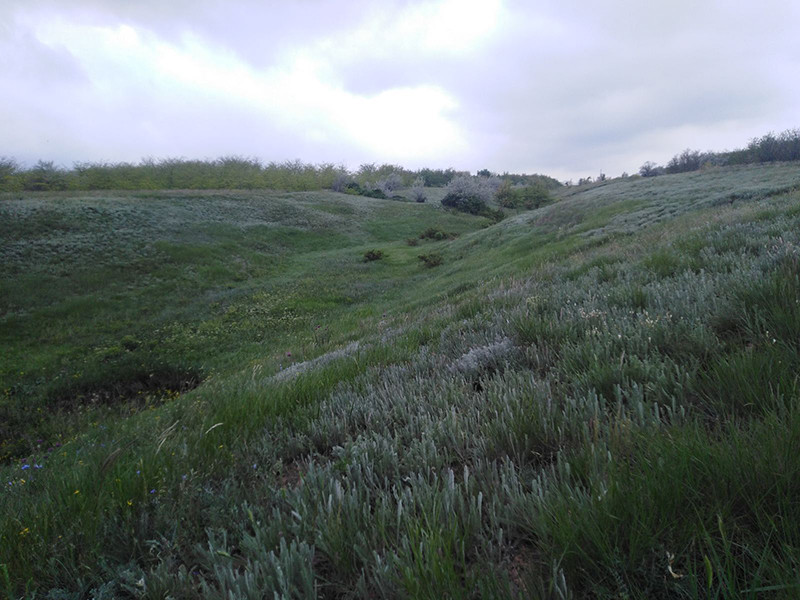 _viber_2021-05-18_14-50-07