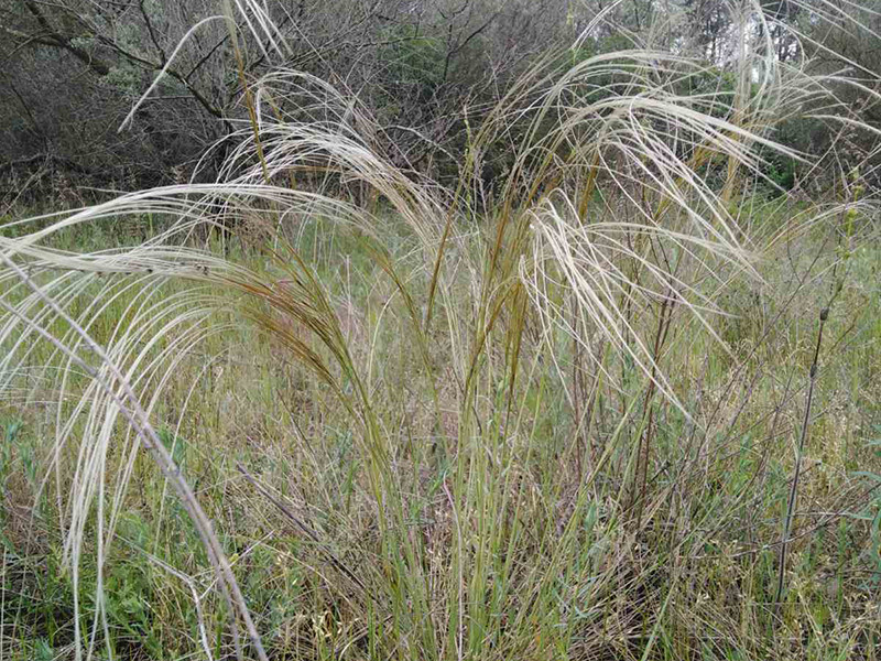 _viber_2021-05-20_09-52-44