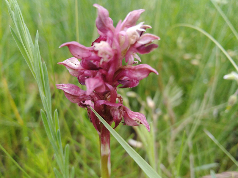 _viber_2021-05-20_09-53-26