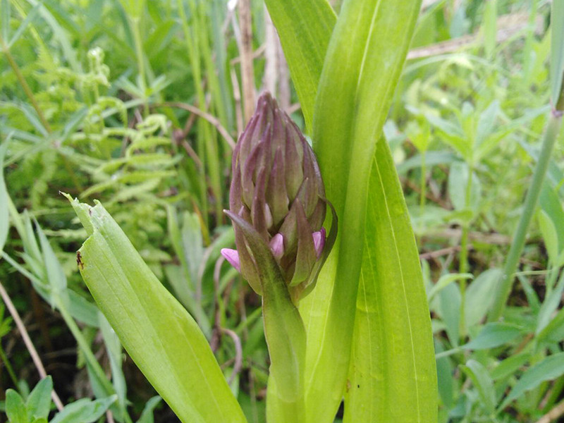 _viber_2021-05-20_09-54-15