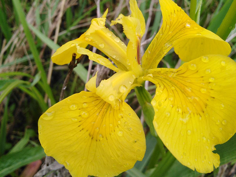 _viber_2021-05-20_09-54-52