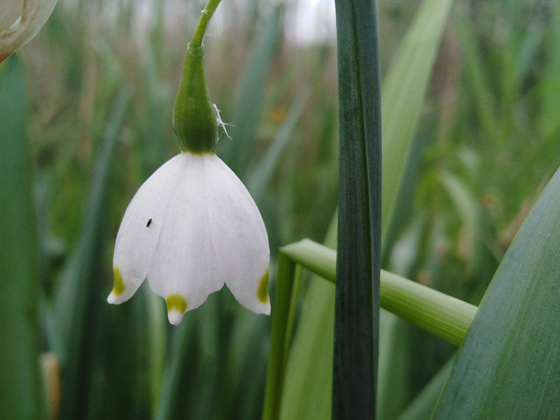 _viber_2021-05-20_09-56-06