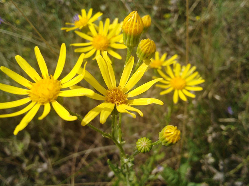 _viber_2021-07-16_18-38-45-349