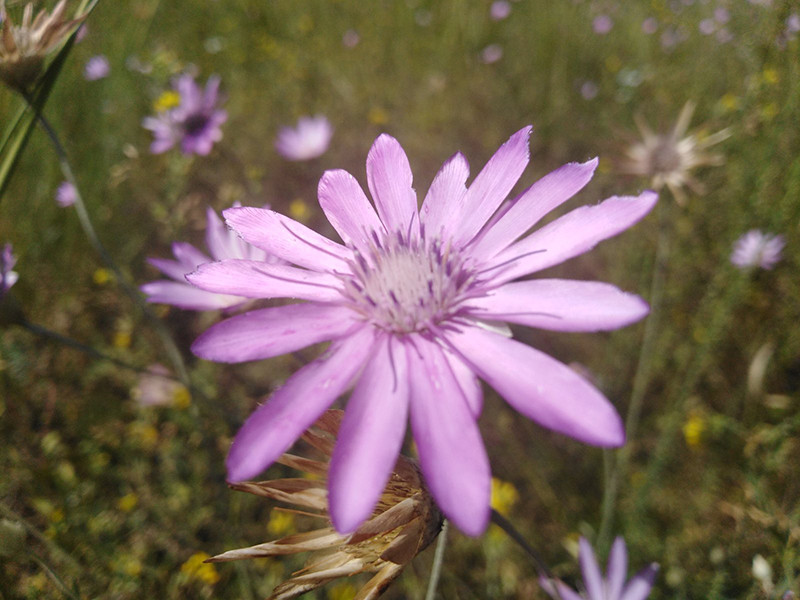 _viber_2021-07-16_18-38-48-144