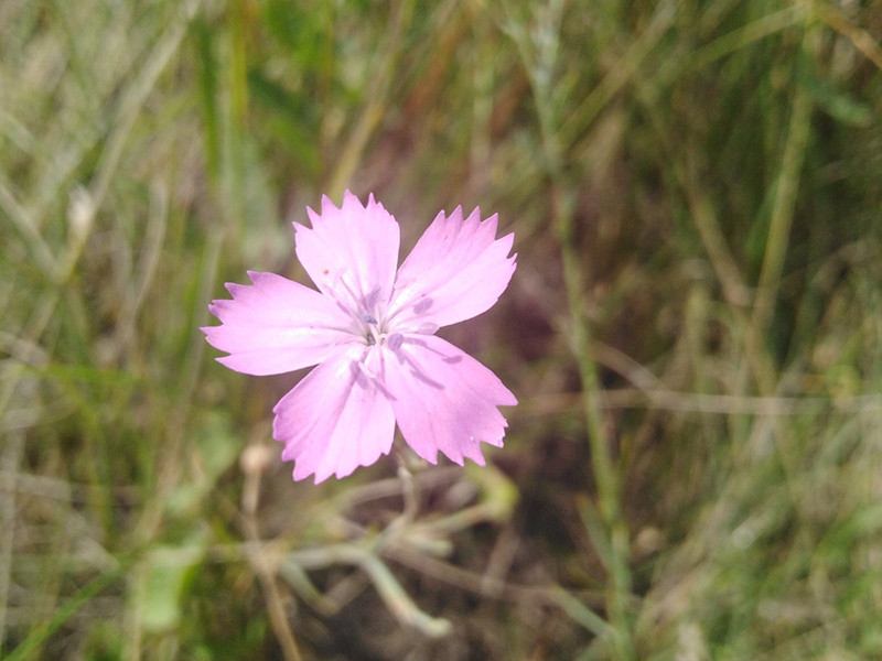 _viber_2021-07-16_18-38-56-169