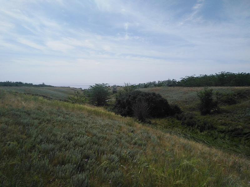 _viber_2021-07-16_18-40-00-141