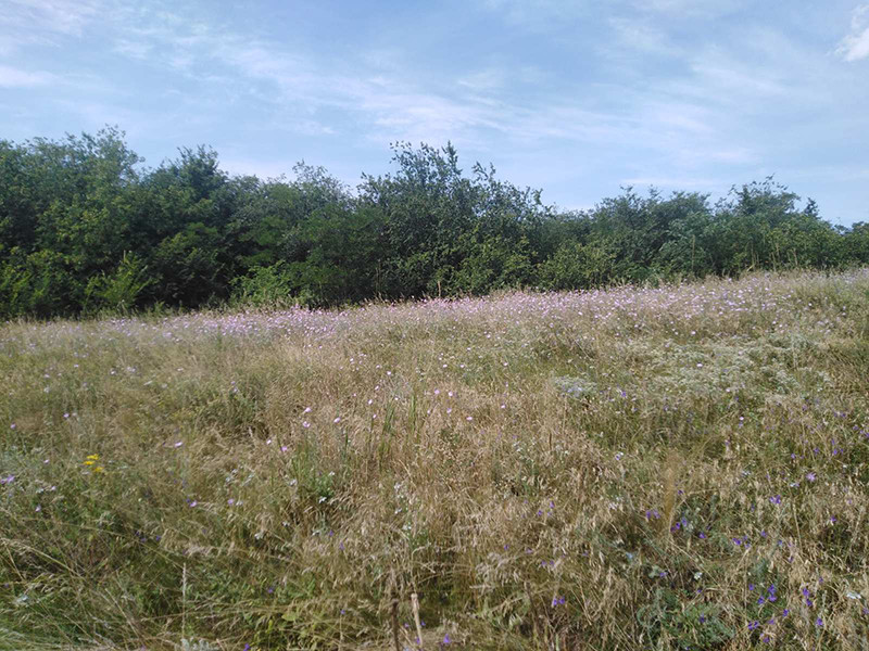 _viber_2021-07-16_18-40-00-497