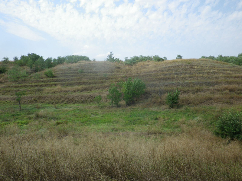 _viber_2021-08-30_20-06-28-074