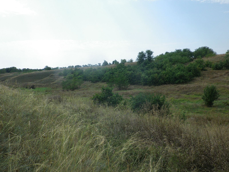 _viber_2021-08-30_20-06-30-975