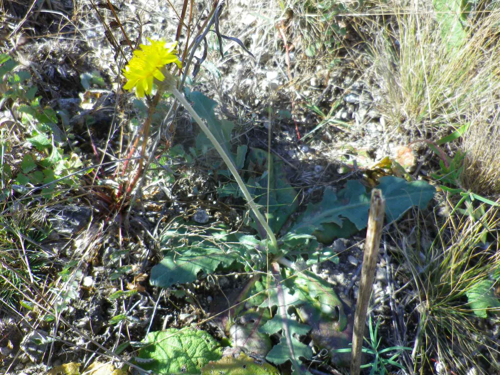 _viber_2021-08-31_20-40-21-921