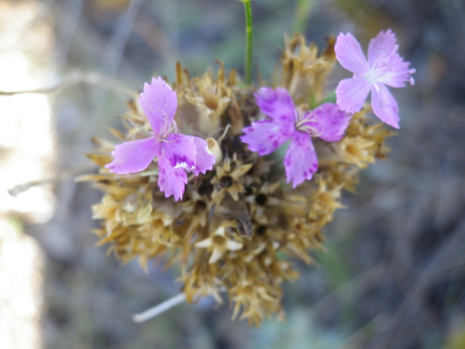 _viber_2021-08-31_20-40-26-458