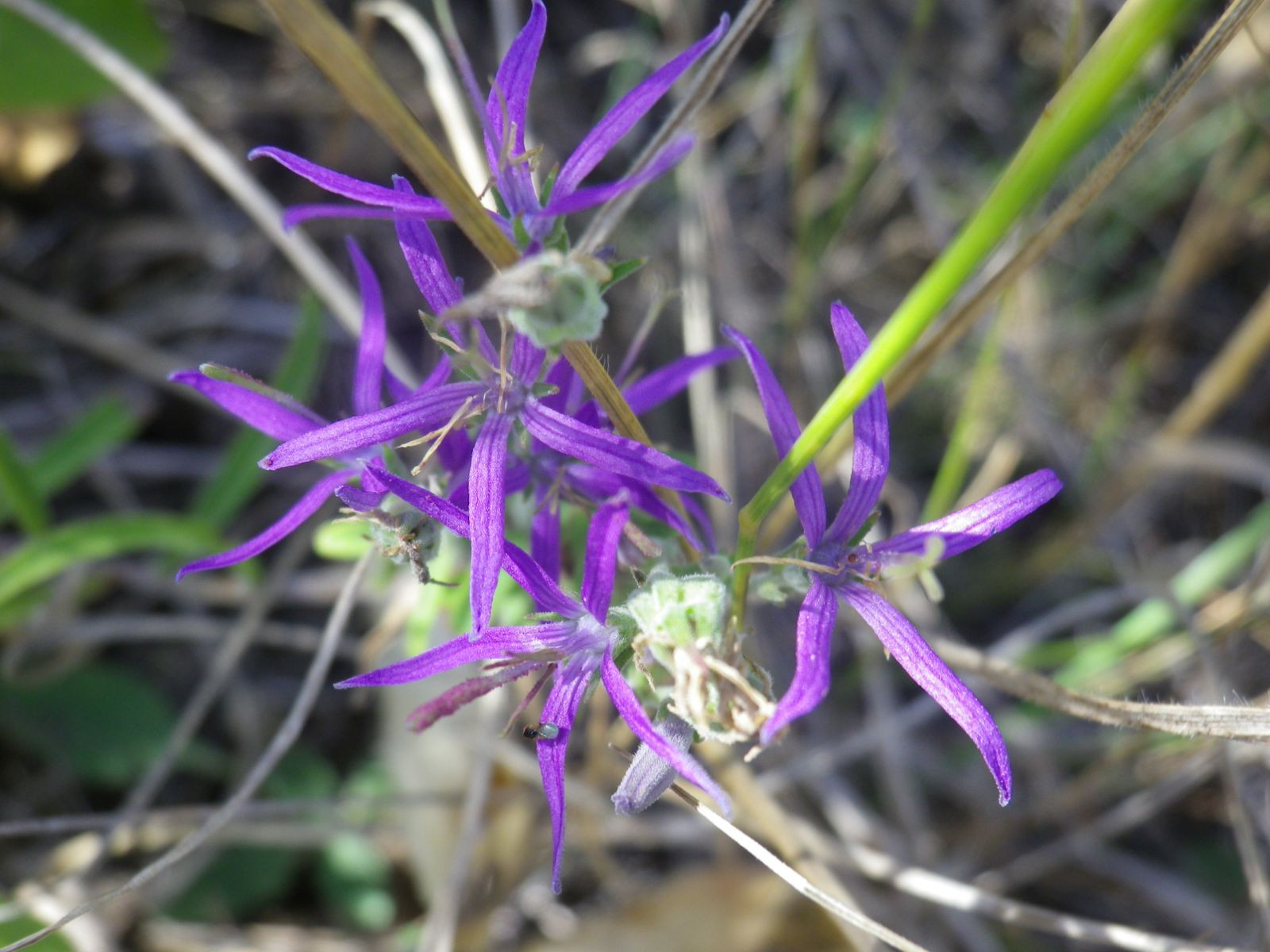 _viber_2021-08-31_20-40-27-748