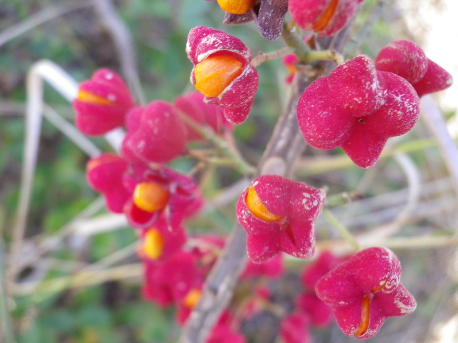 _viber_2021-08-31_20-40-29-078