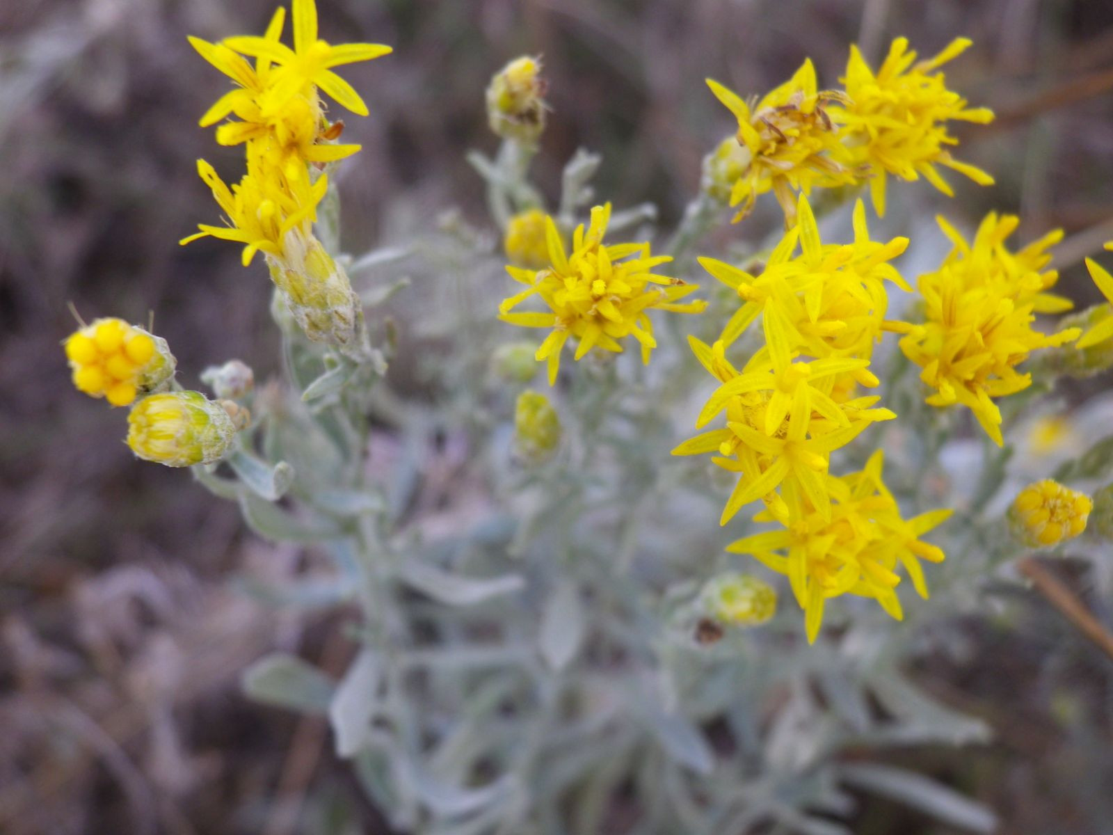 _viber_2021-08-31_20-40-33-158