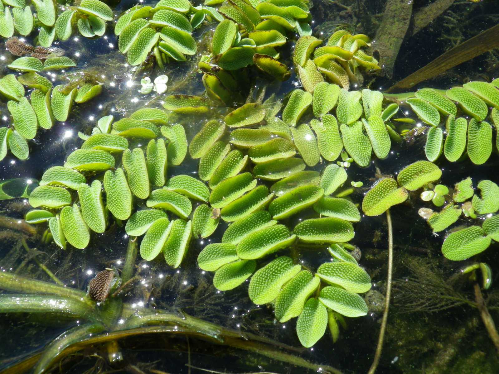 _viber_2021-08-31_20-41-12-099