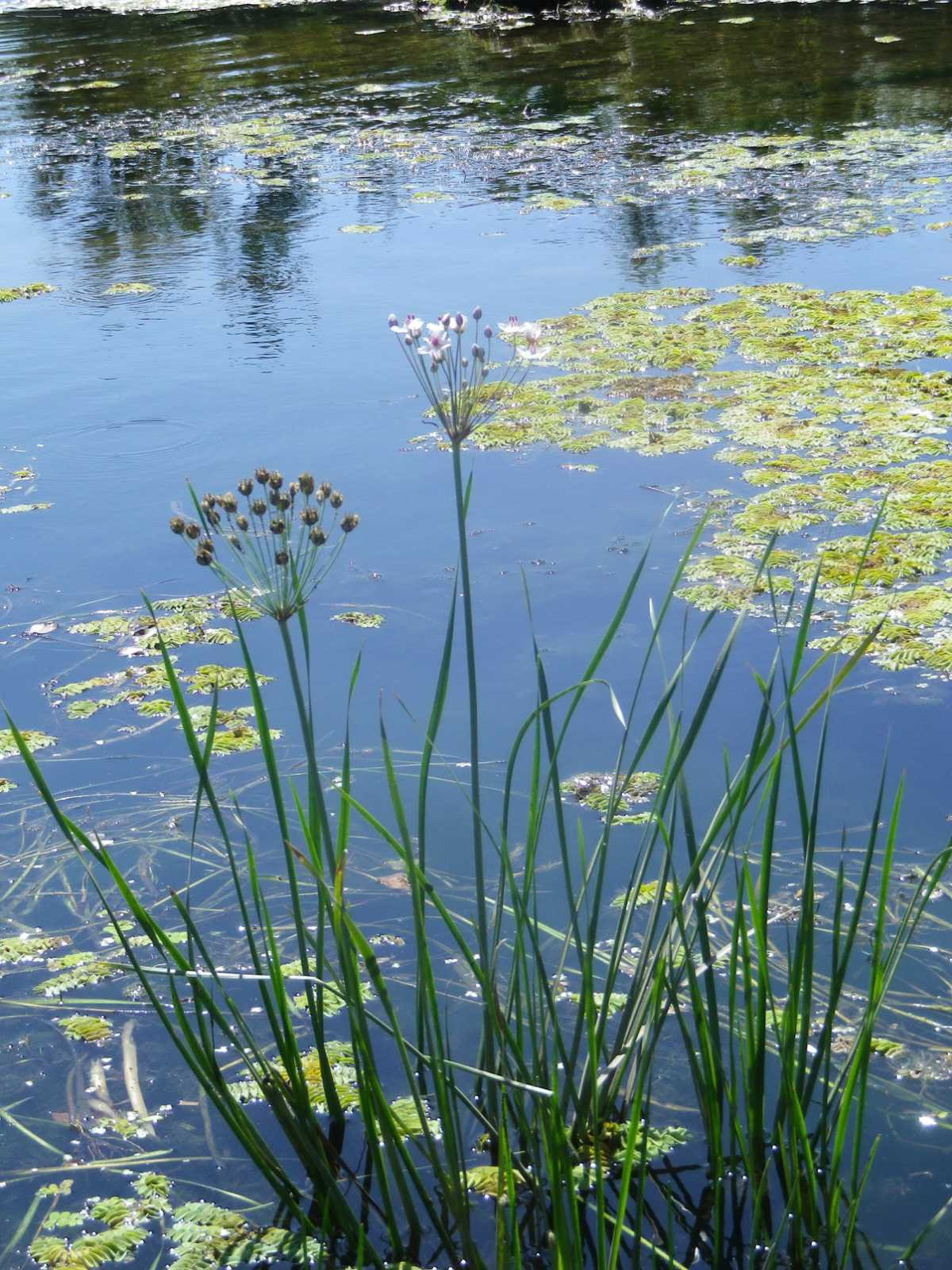 _viber_2021-08-31_20-41-13-819