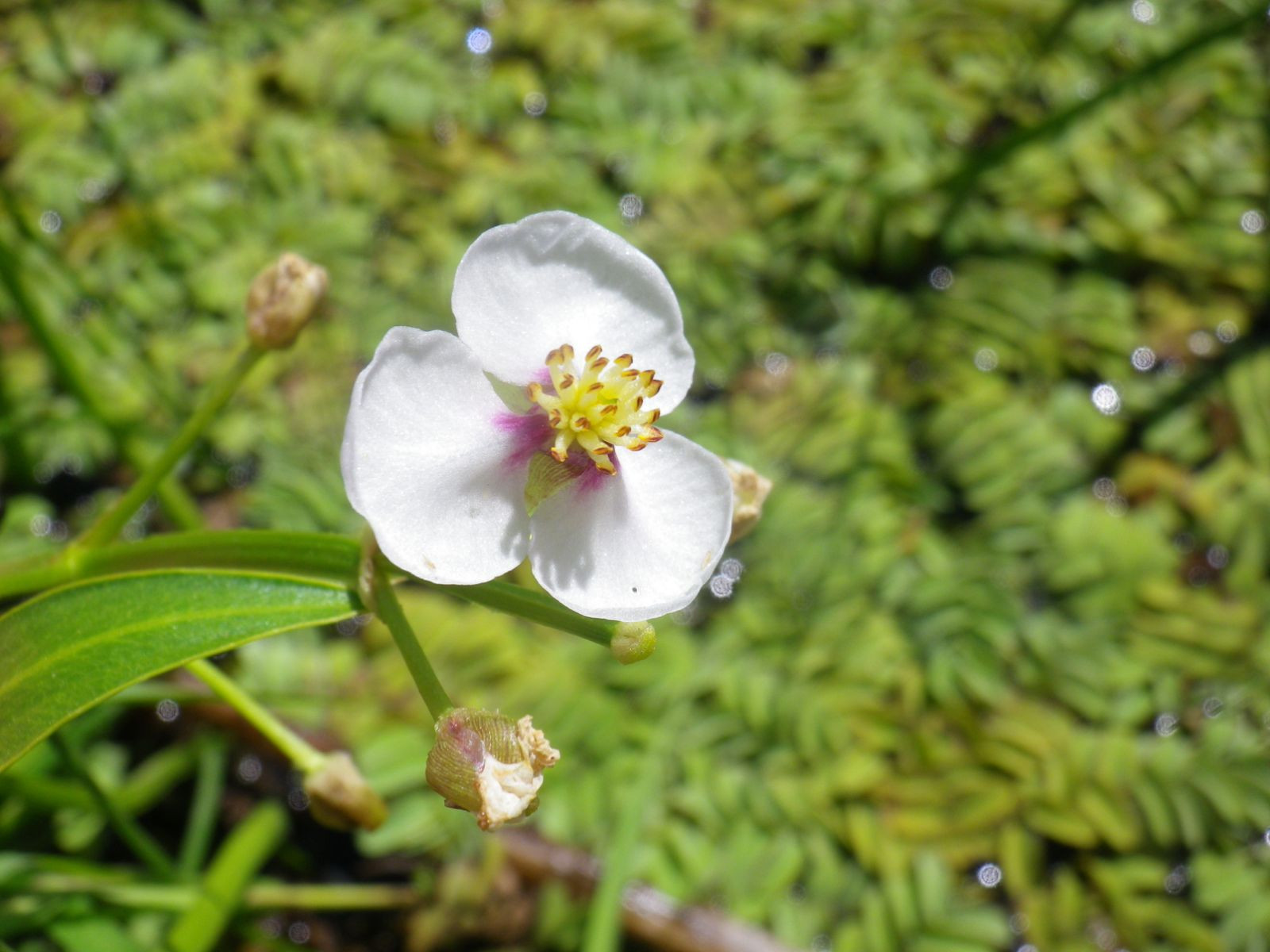 _viber_2021-08-31_20-41-15-622