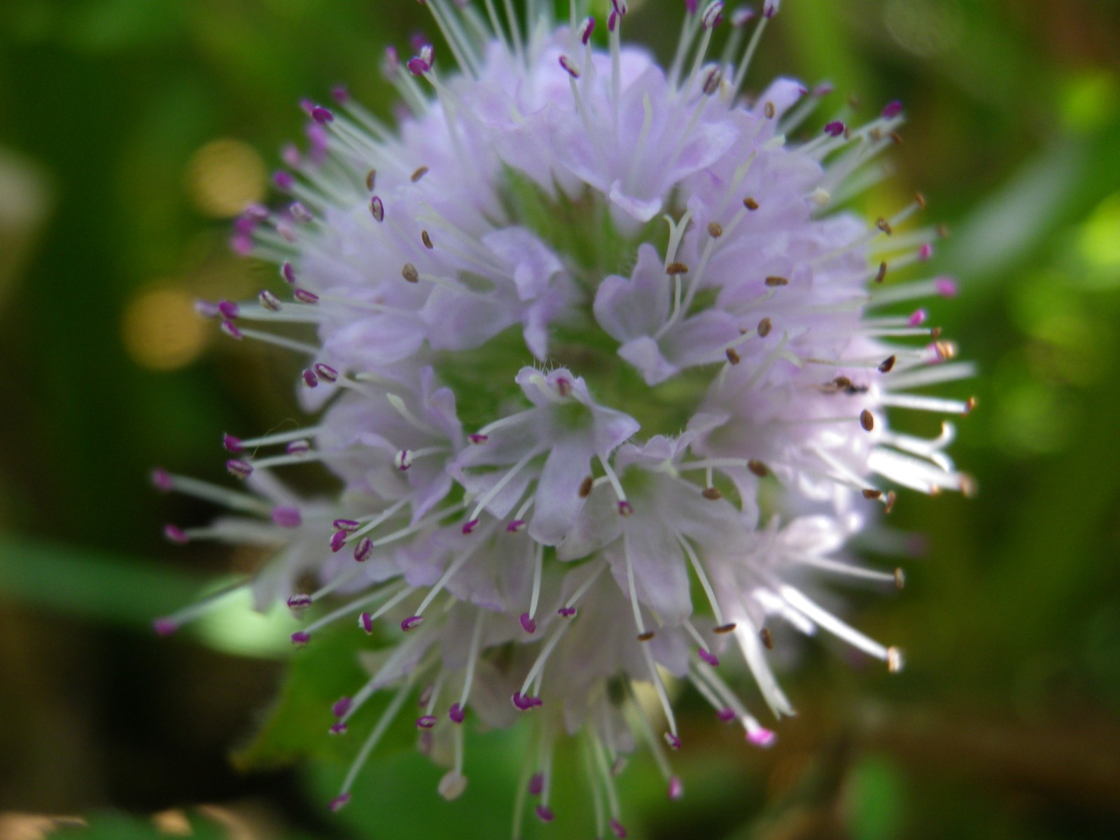 _viber_2021-08-31_20-41-17-828