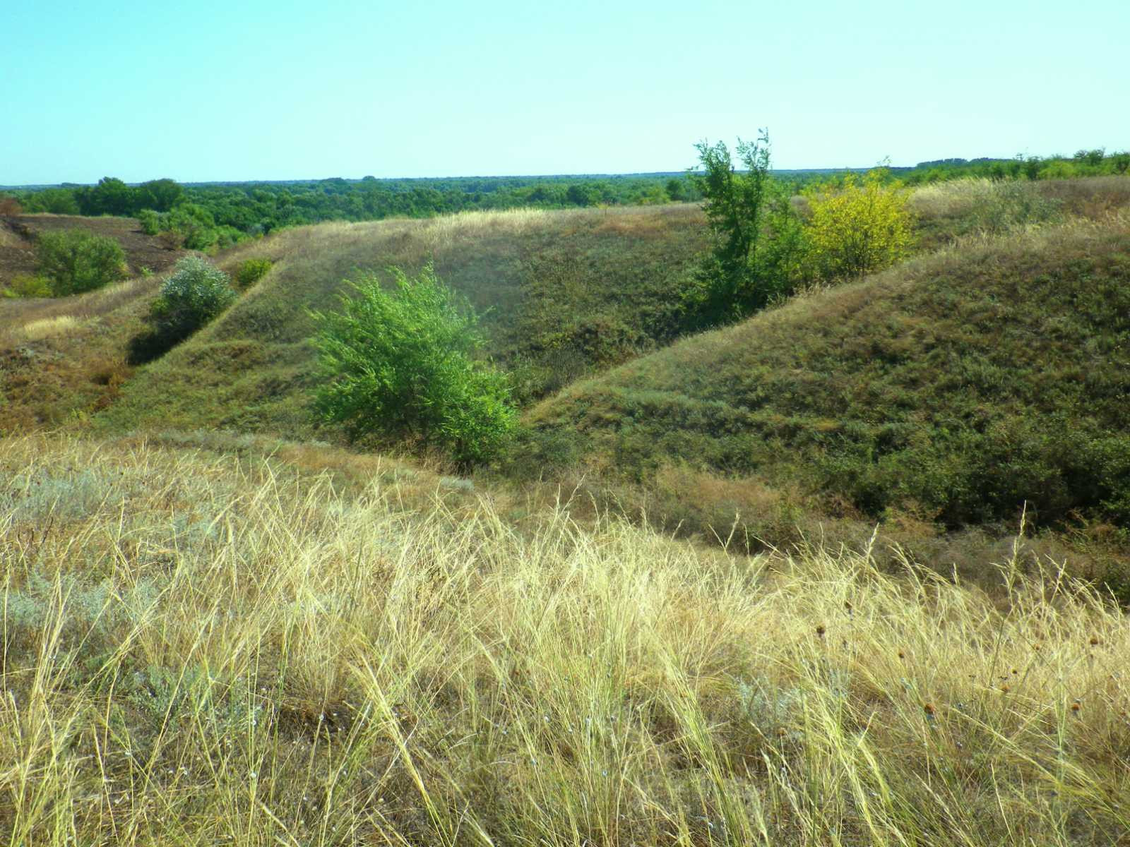 _viber_2021-08-31_20-41-19-585