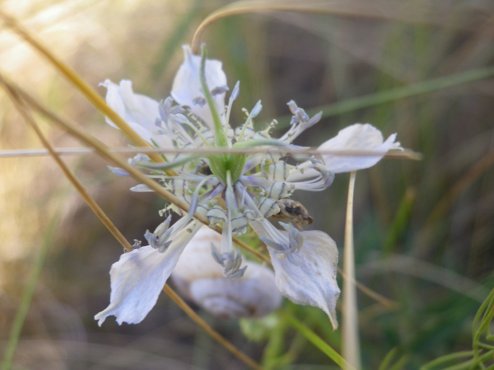 _viber_2021-08-31_20-41-21-172