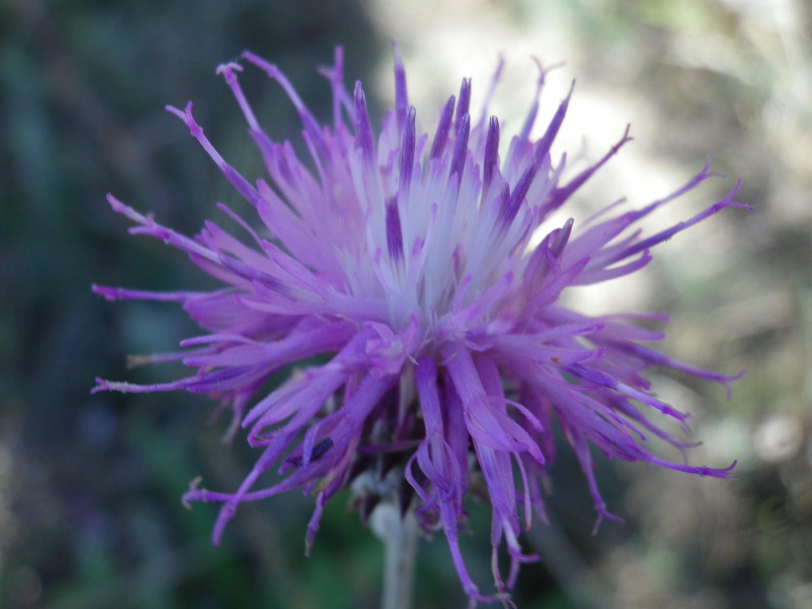 _viber_2021-08-31_20-41-23-234