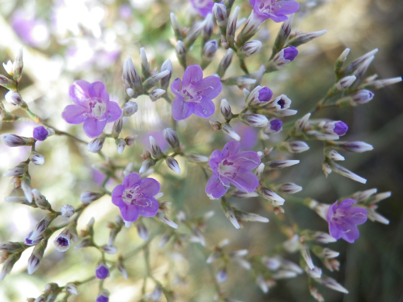 _viber_2021-08-31_20-41-26-083