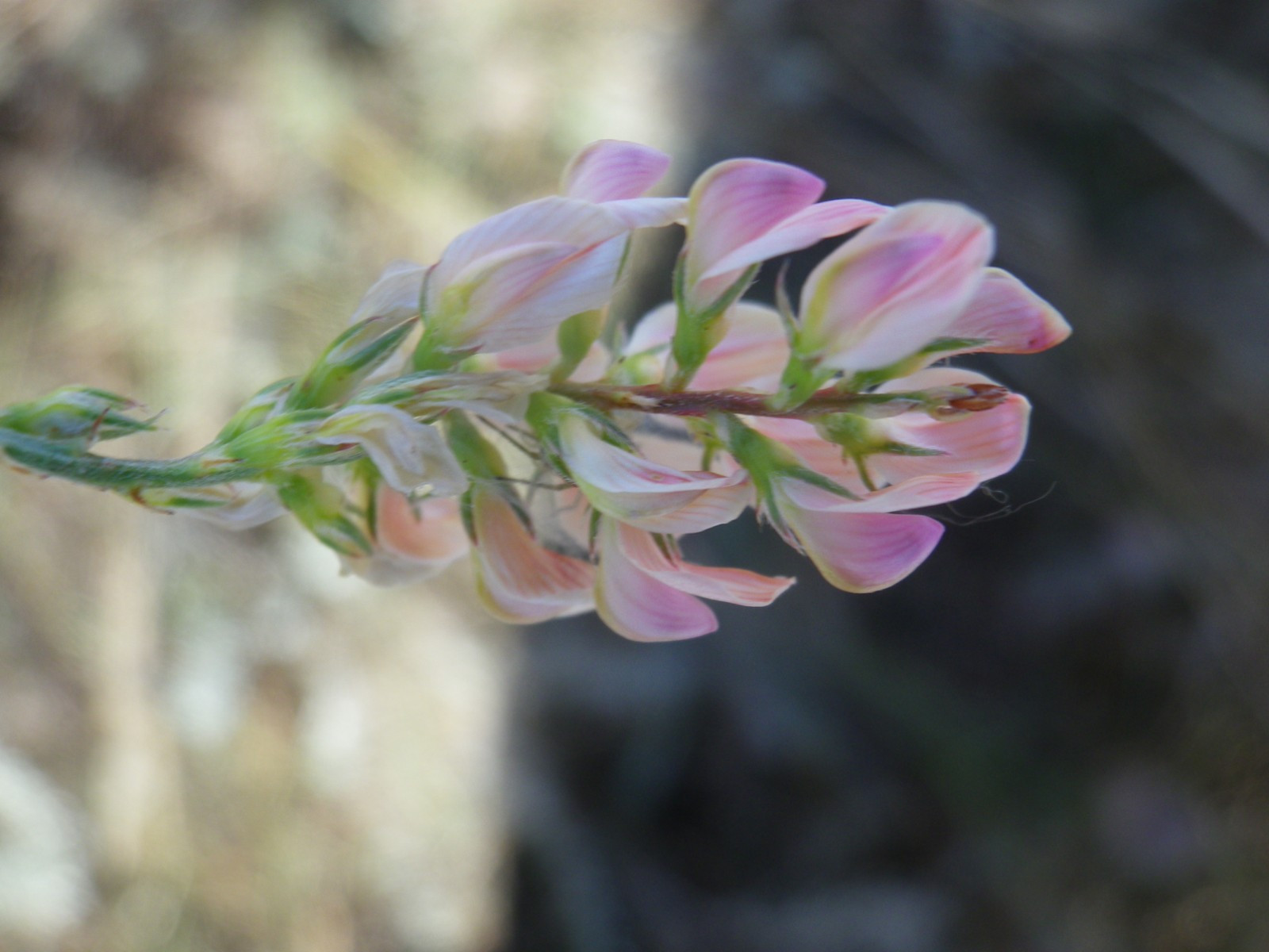 _viber_2021-08-31_20-41-28-105