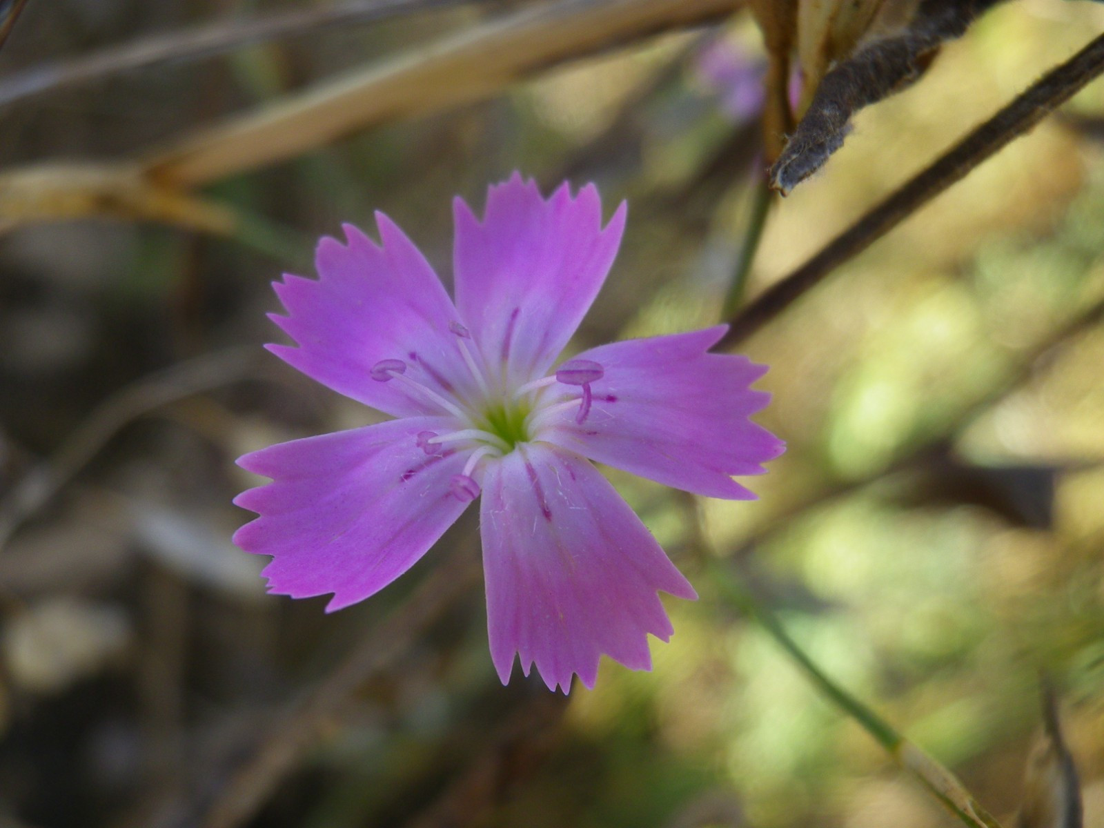 _viber_2021-08-31_20-41-30-710