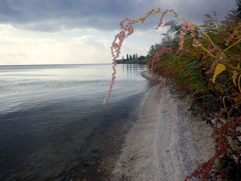 _viber_2021-10-20_13-24-05-625