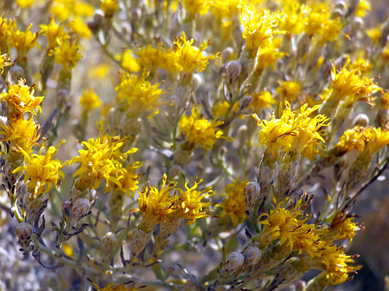 _viber_2021-10-20_13-25-15-693