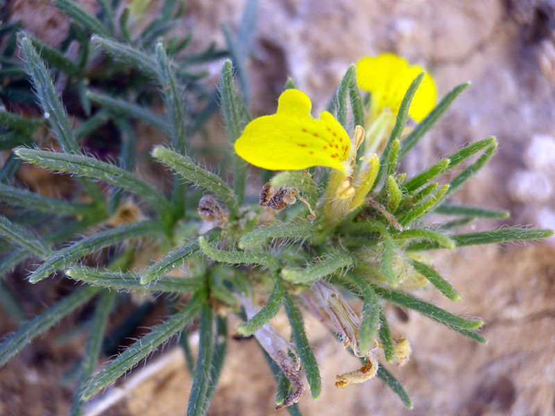 _viber_2021-10-20_13-25-16-764