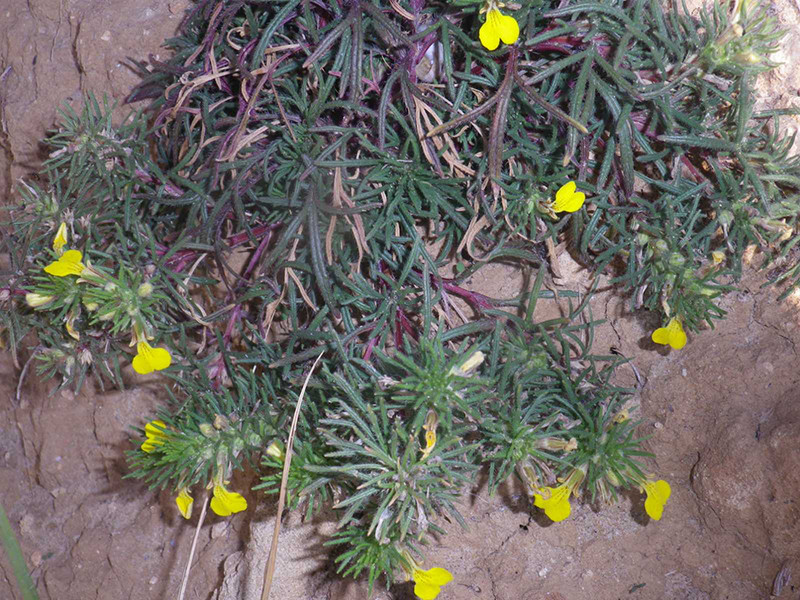 _viber_2021-10-20_13-25-18-118