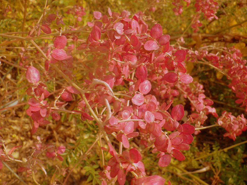 _viber_2021-10-20_13-25-20-531