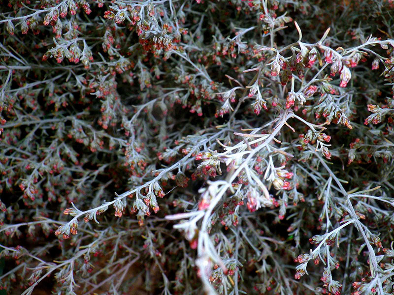 _viber_2021-10-20_13-25-22-203