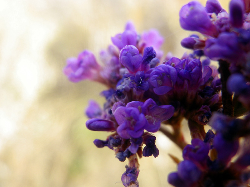 _viber_2021-10-20_13-25-23-352