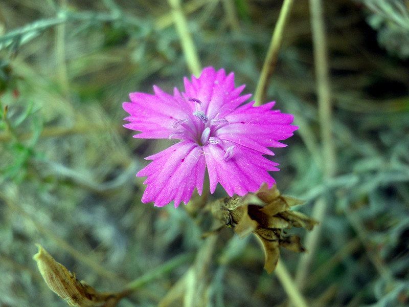 _viber_2021-10-20_13-25-24-336