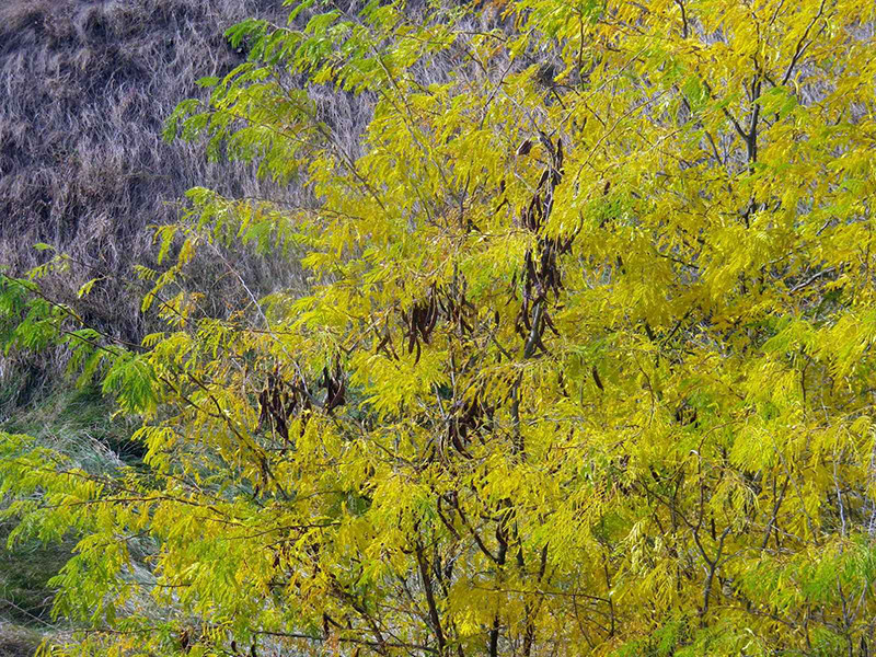 _viber_2021-10-20_13-25-27-143