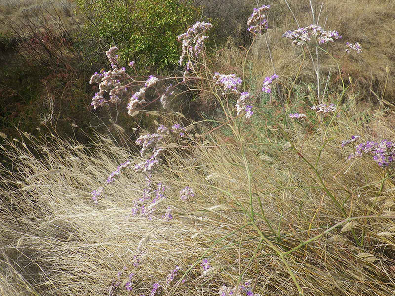 _viber_2021-10-20_13-25-29-728