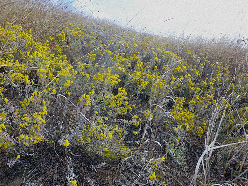 _viber_2021-10-20_13-25-32-901