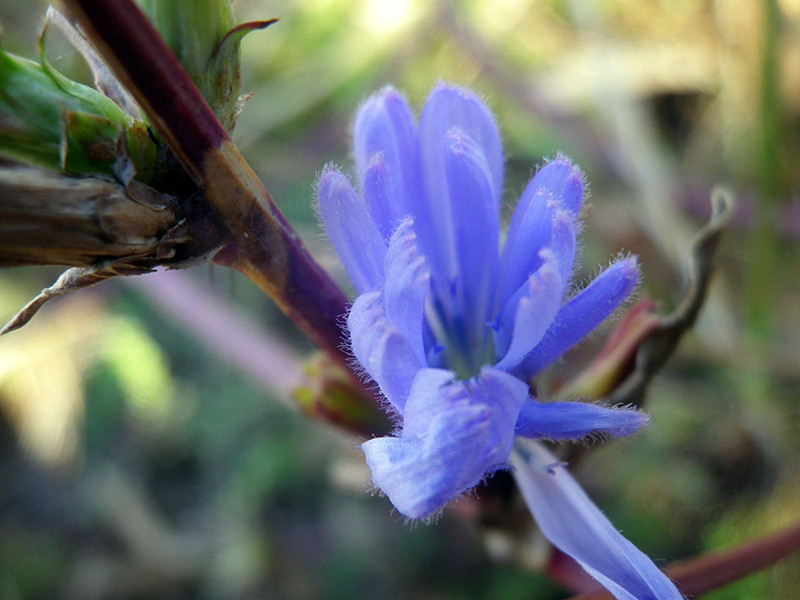 _viber_2021-10-20_13-25-34-855