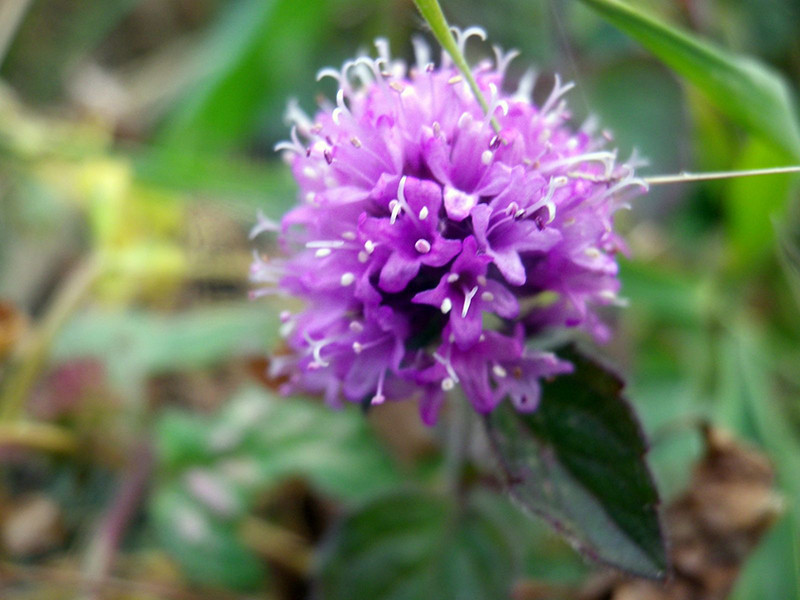 _viber_2021-10-20_13-25-36-963