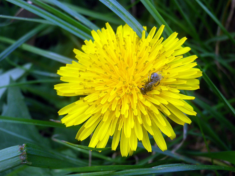 _viber_2021-10-20_13-25-37-975