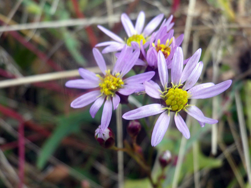 _viber_2021-10-20_13-25-38-928